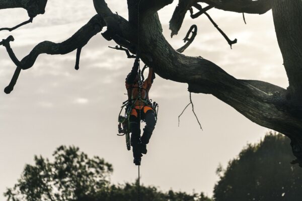 HUSQVARNA 540i XP® G - Image 4
