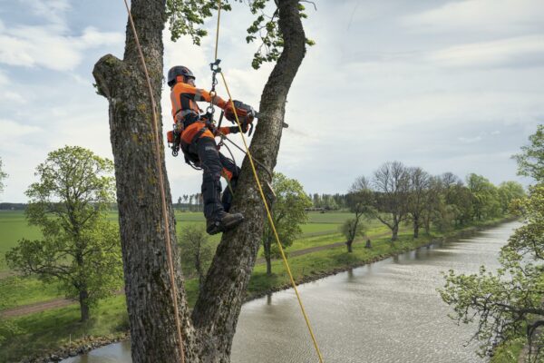 HUSQVARNA 540i XP® G - Image 5