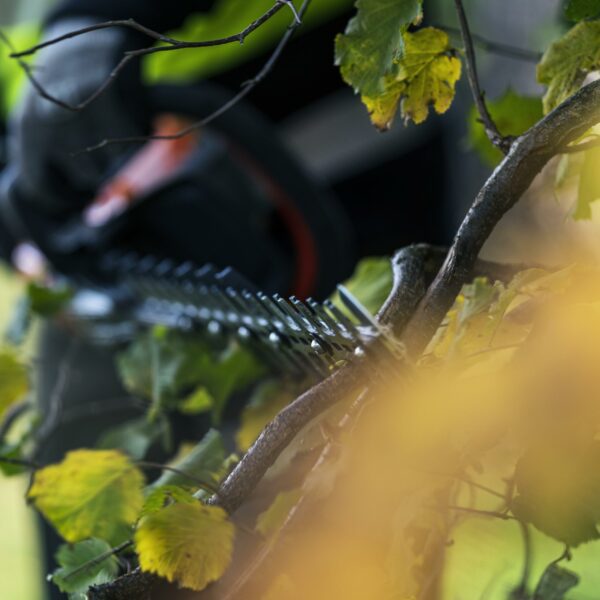 Husqvarna 522iHD75 hækkeklipper - Image 3