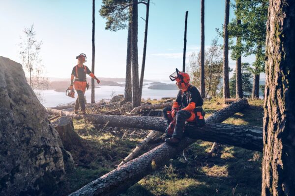 HUSQVARNA sikkerhedshjelm, functional - Image 2